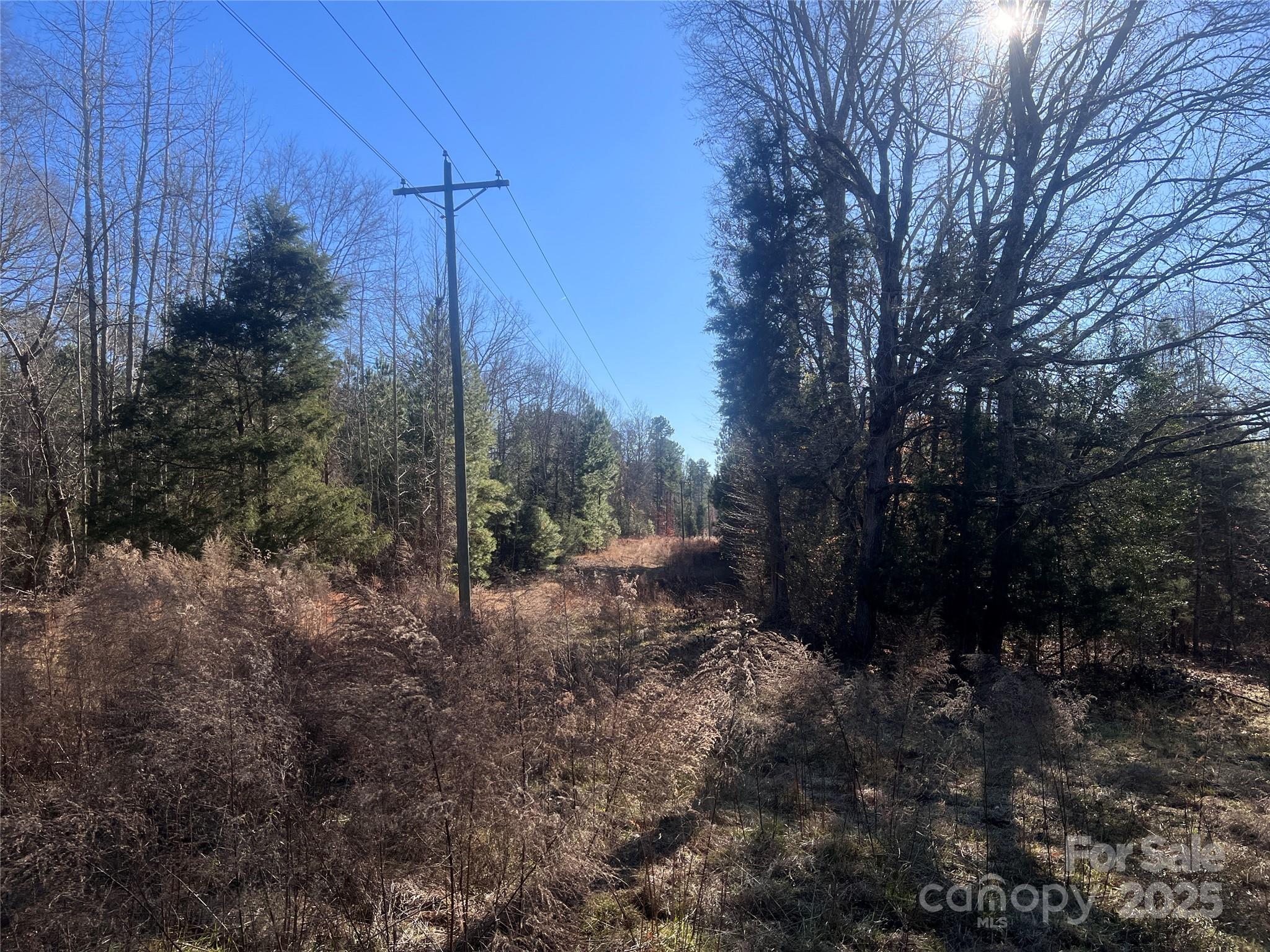 259 Sam Wilson Road Union, SC 29379 - Photo 14 of 35