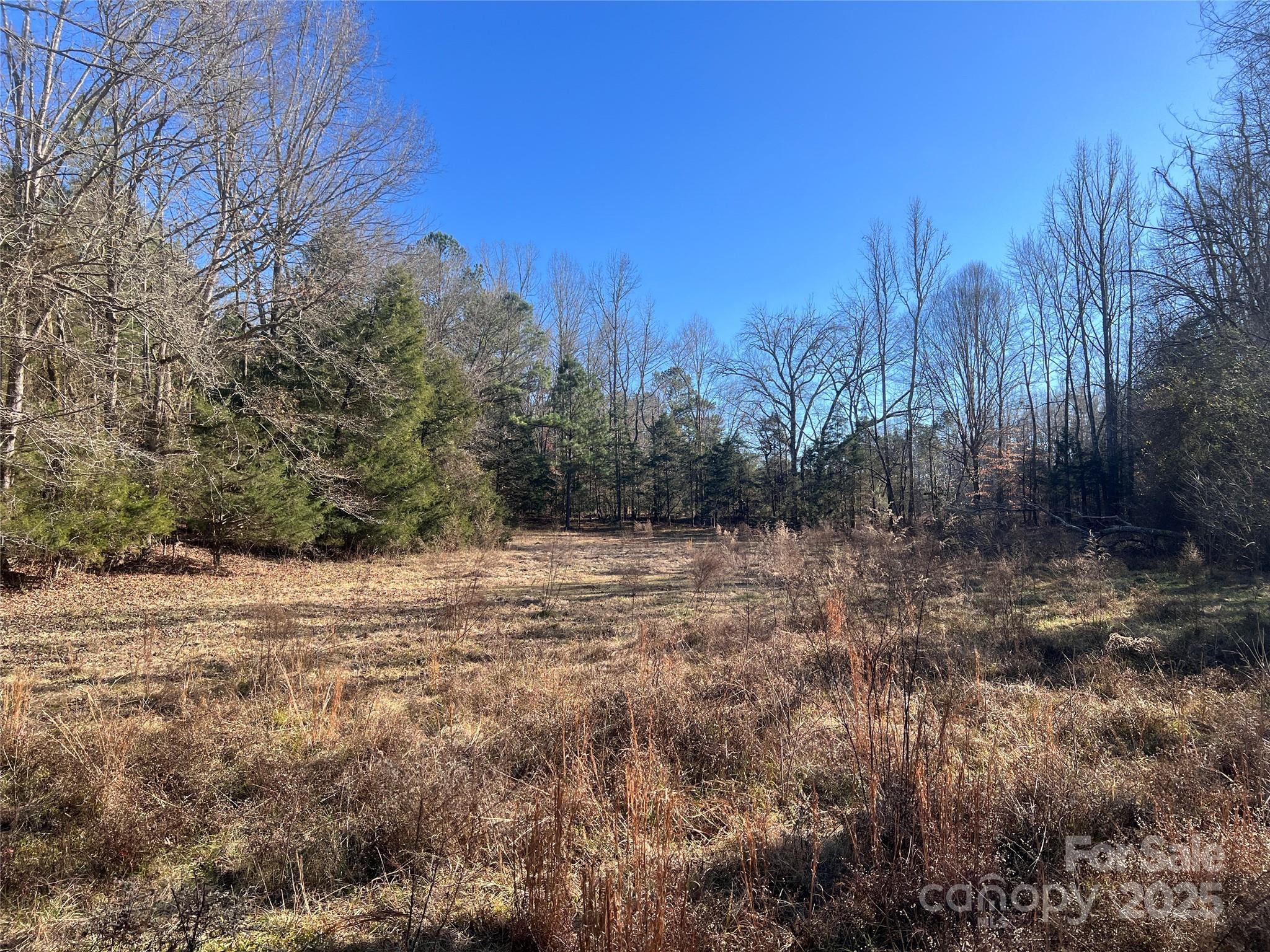 259 Sam Wilson Road Union, SC 29379 - Photo 19 of 35