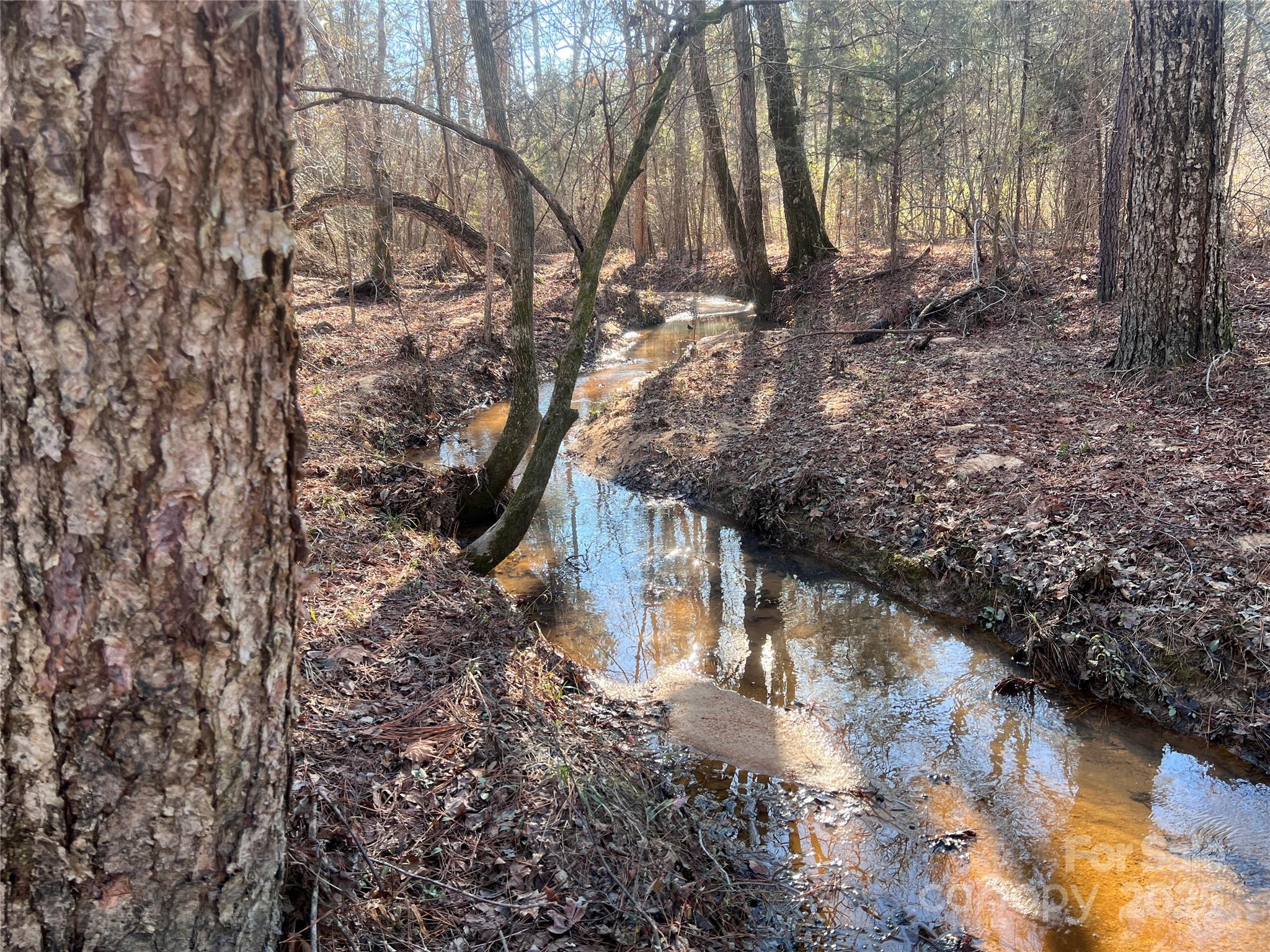 259 Sam Wilson Road Union, SC 29379 - Photo 2 of 35