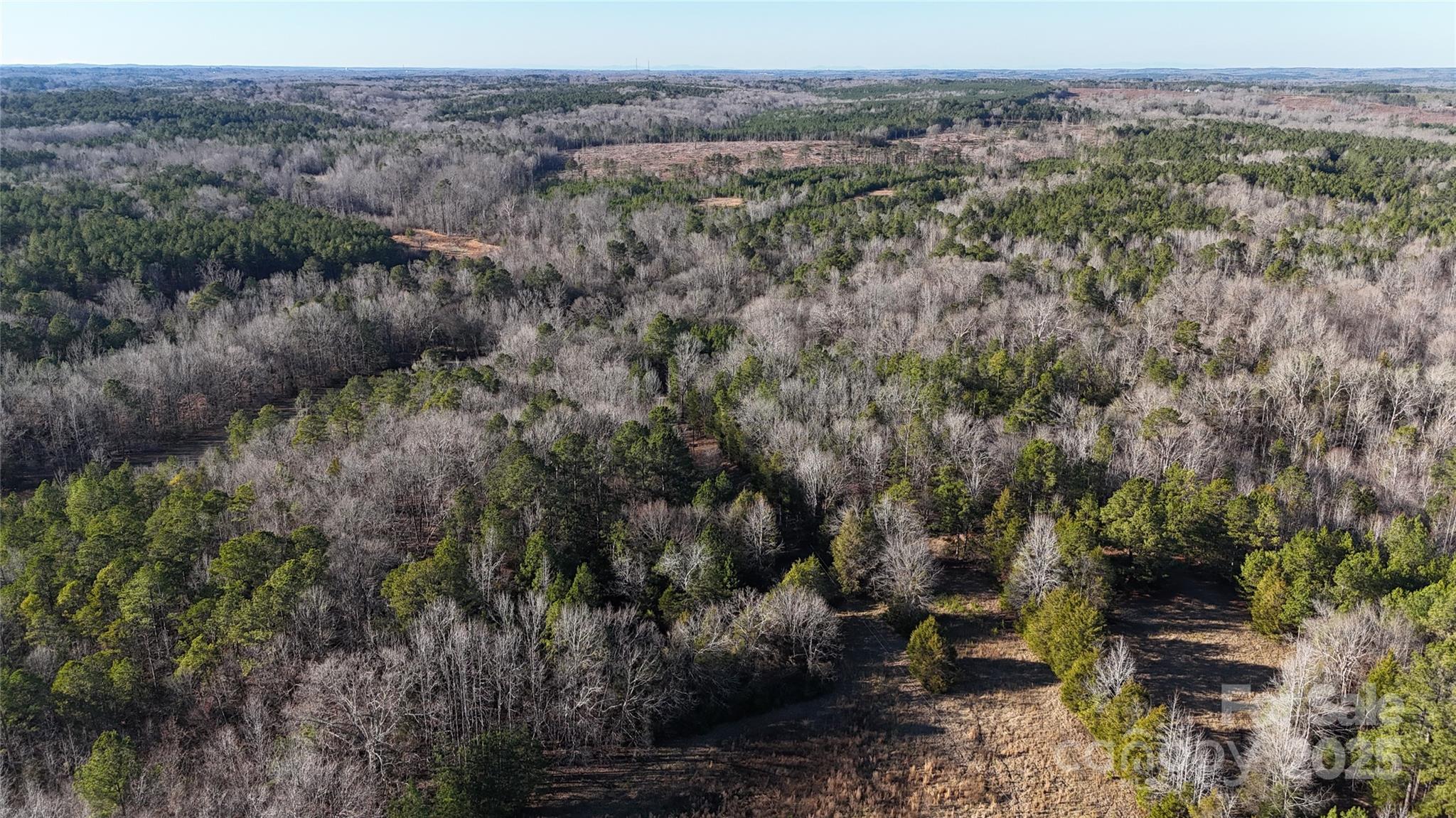 259 Sam Wilson Road Union, SC 29379 - Photo 24 of 35