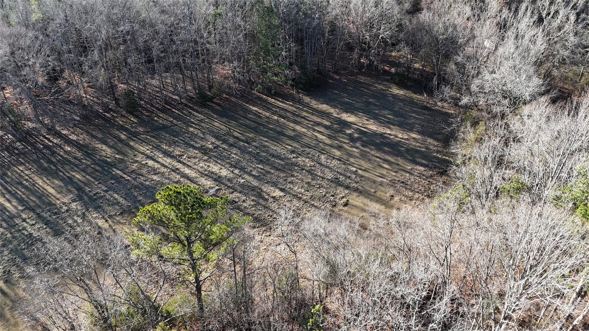 259 Sam Wilson Road Union, SC 29379 - Photo 25 of 35