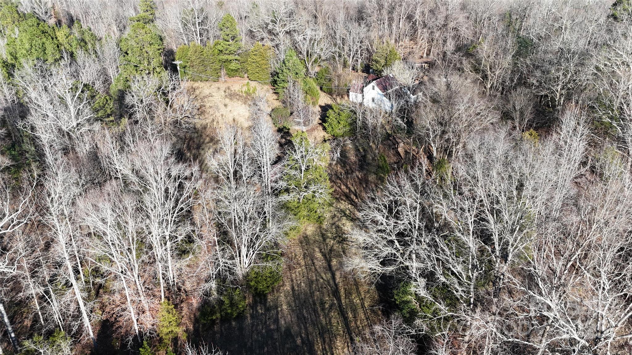 259 Sam Wilson Road Union, SC 29379 - Photo 26 of 35