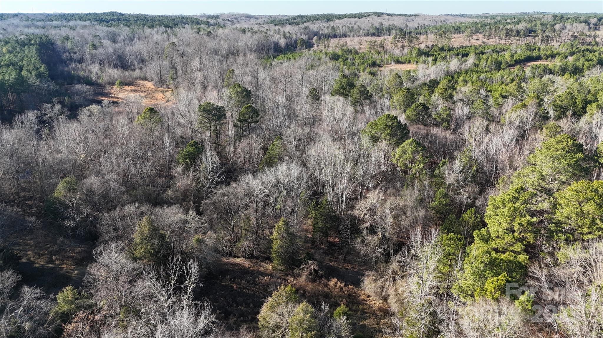 259 Sam Wilson Road Union, SC 29379 - Photo 27 of 35