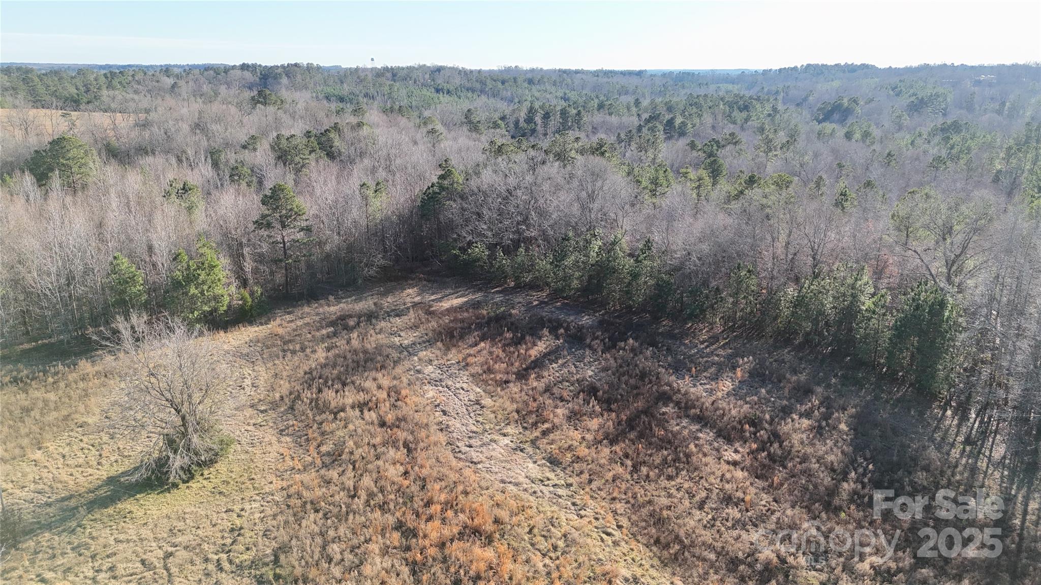 259 Sam Wilson Road Union, SC 29379 - Photo 28 of 35