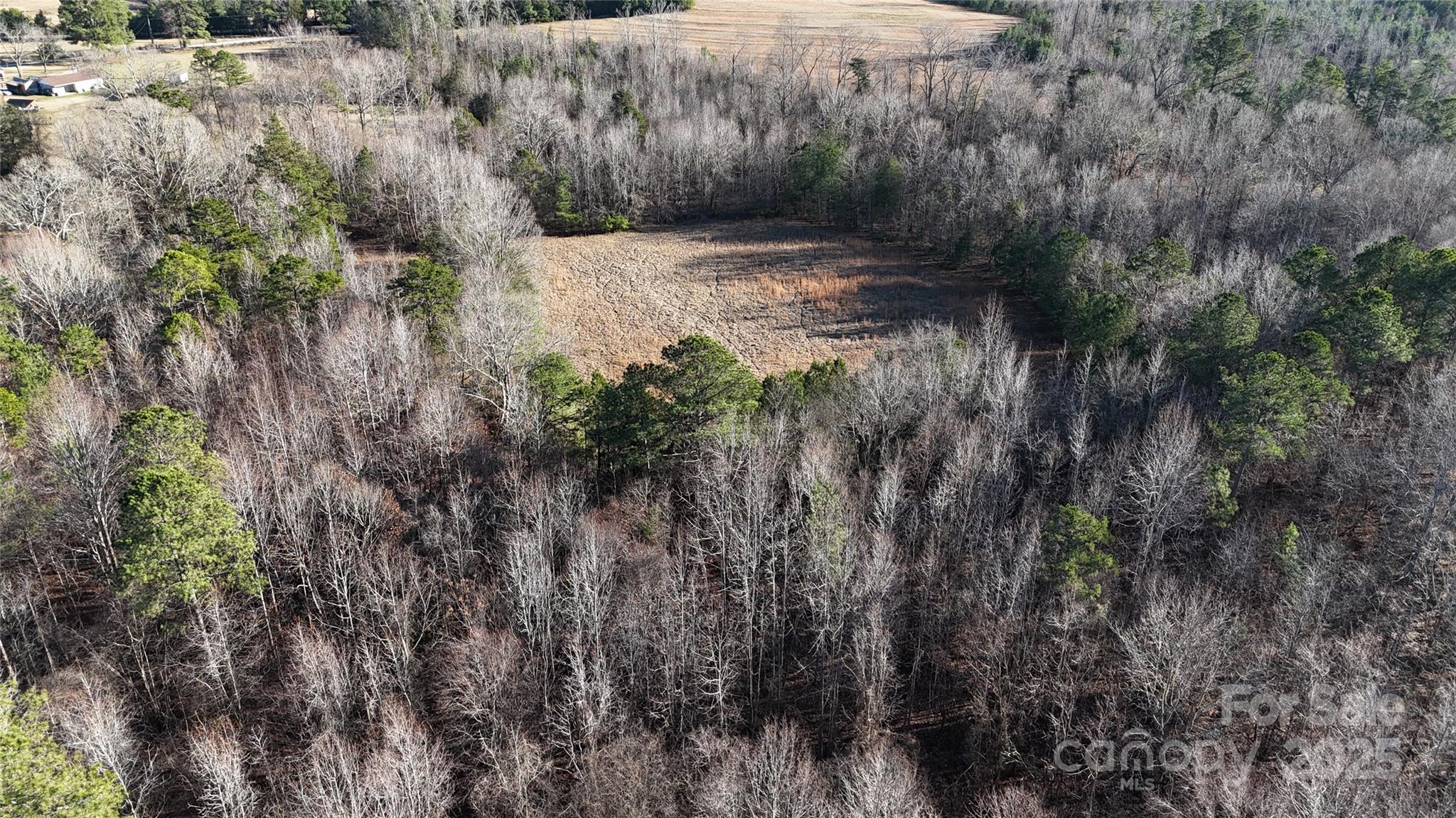 259 Sam Wilson Road Union, SC 29379 - Photo 29 of 35