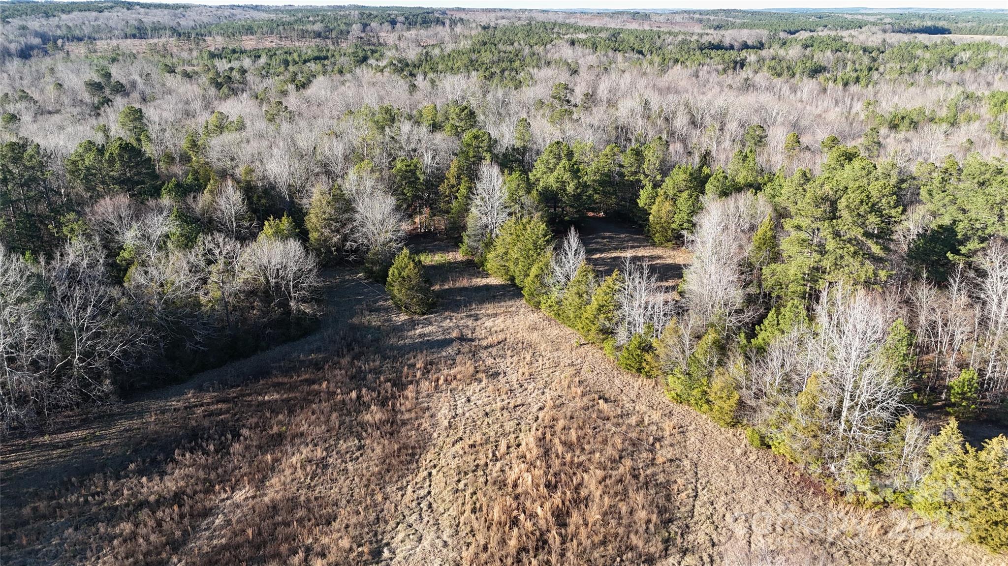 259 Sam Wilson Road Union, SC 29379 - Photo 30 of 35