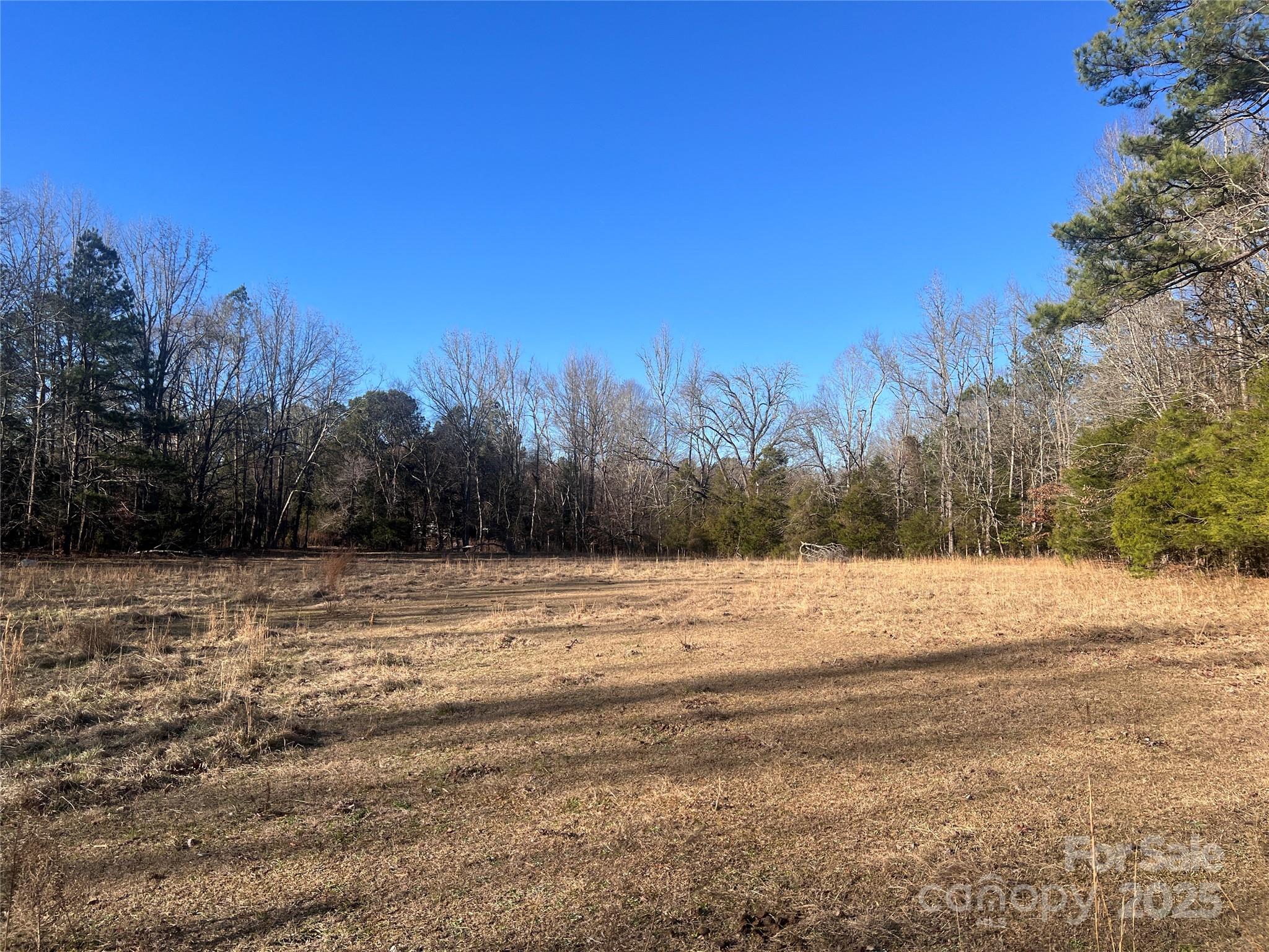 259 Sam Wilson Road Union, SC 29379 - Photo 4 of 35