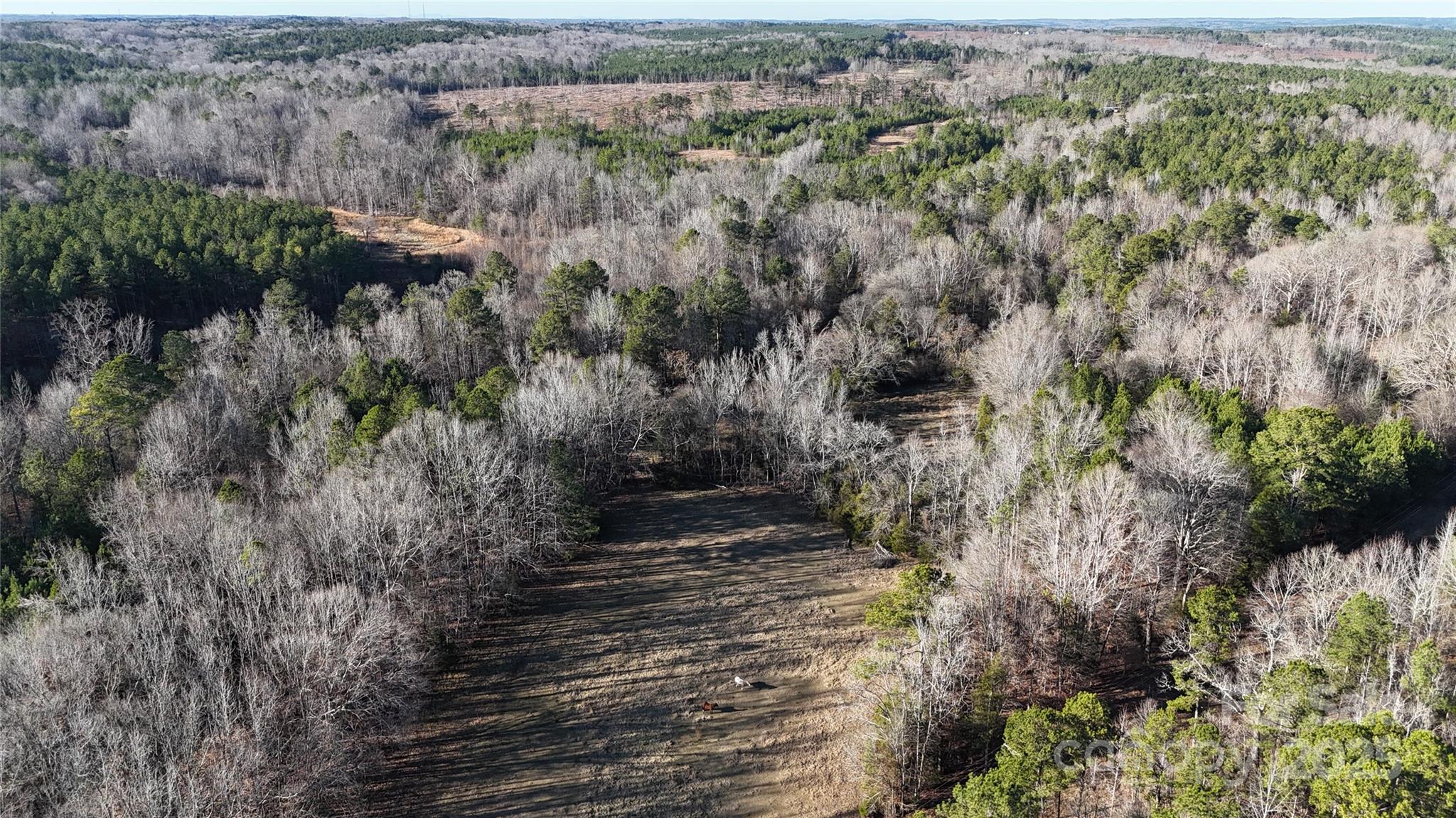 259 Sam Wilson Road Union, SC 29379 - Photo 5 of 35