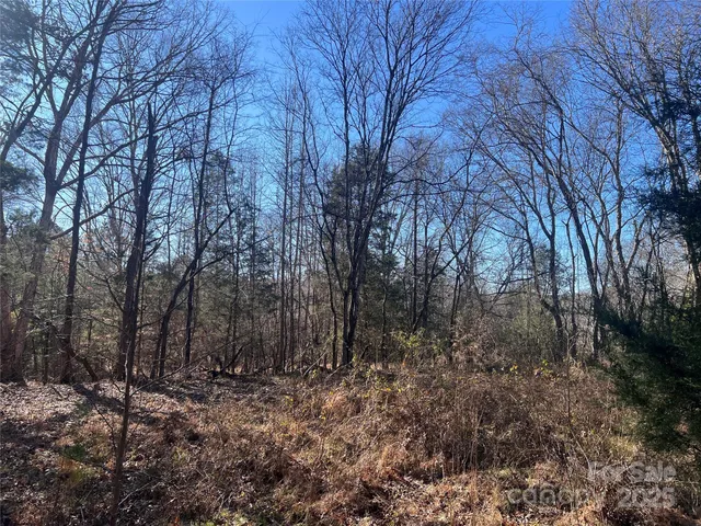 $699,000 | 259 Sam Wilson Road, Union, SC 29379