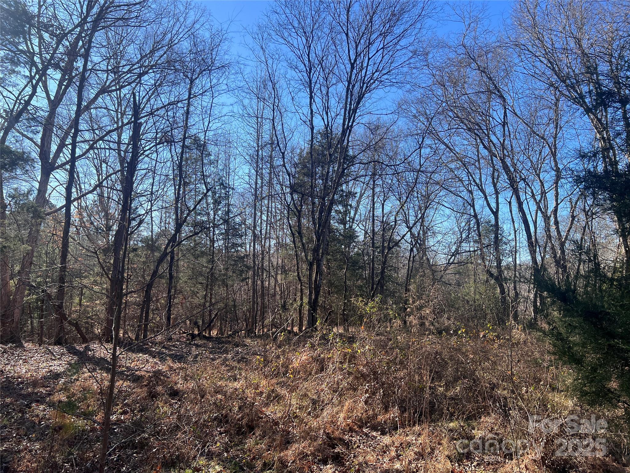 259 Sam Wilson Road Union, SC 29379 - Photo 10 of 35