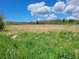 a view of lake with green space