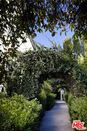 a view of a garden with plants