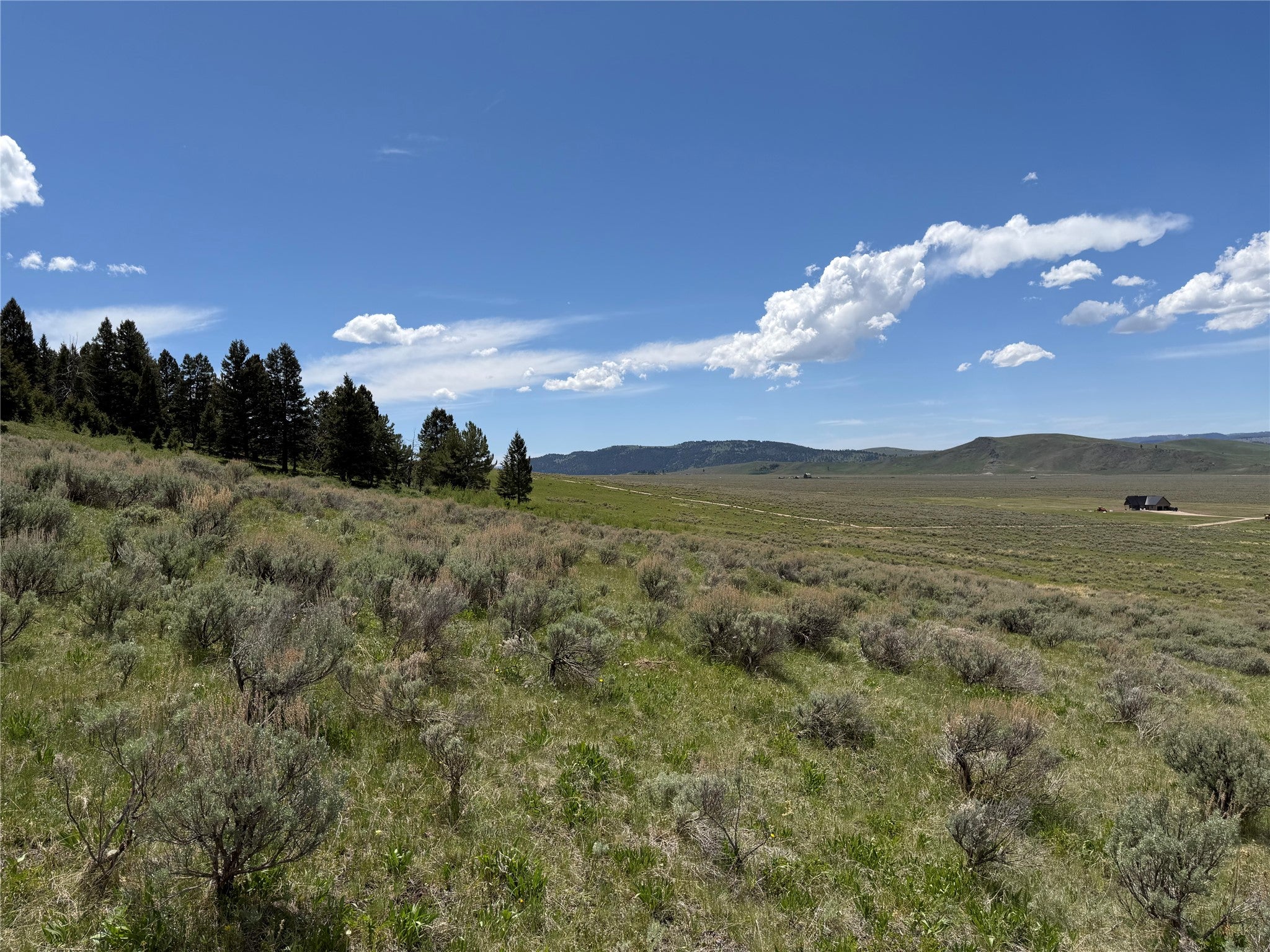 Lot 2-4a Continental Divide Road Cameron, MT 59720 - Photo 8 of 31 Gallery Image 8