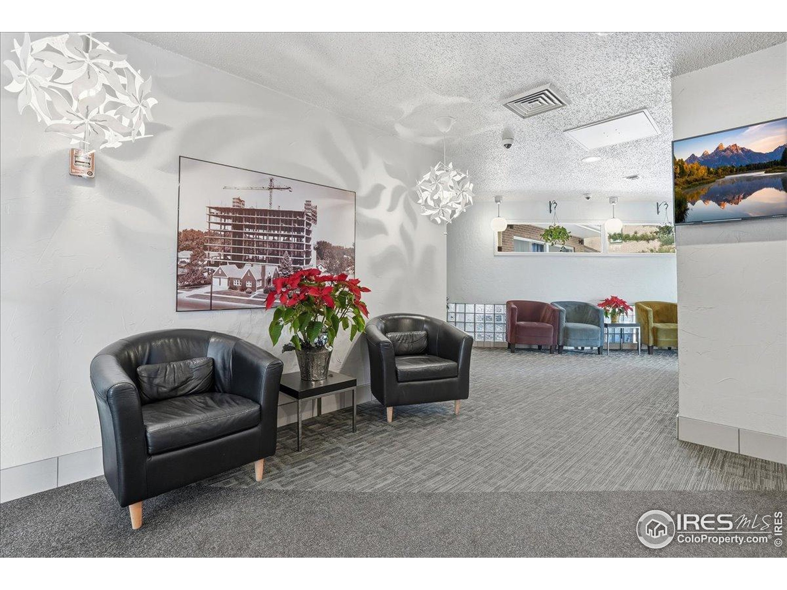 415 South Howes Street, Unit N206 Fort Collins, CO 80521 - Photo 43 of 48 a living room with furniture flowerpot and a chandelier