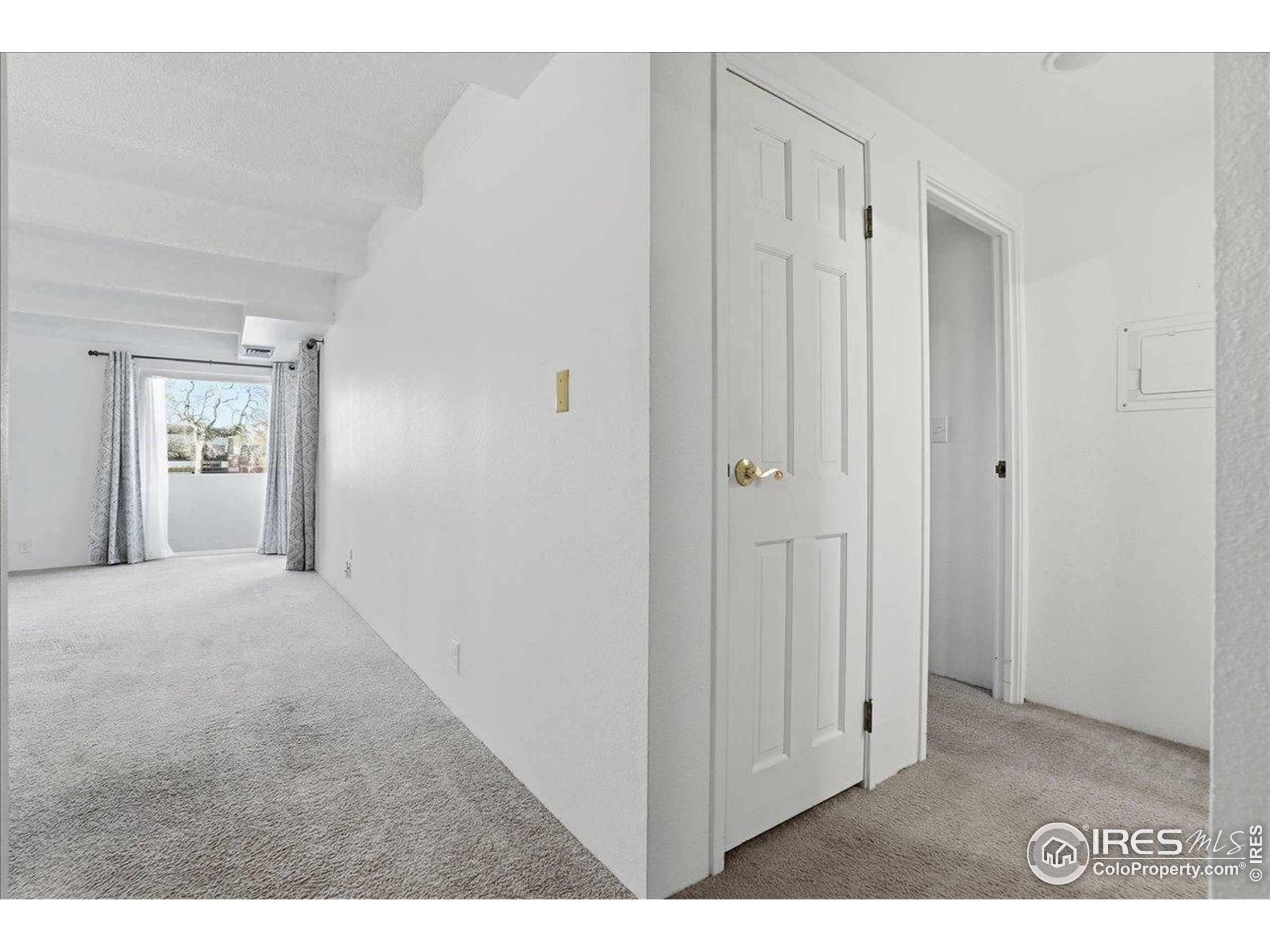 415 South Howes Street, Unit N206 Fort Collins, CO 80521 - Photo 7 of 48 a big room with closet and mirror