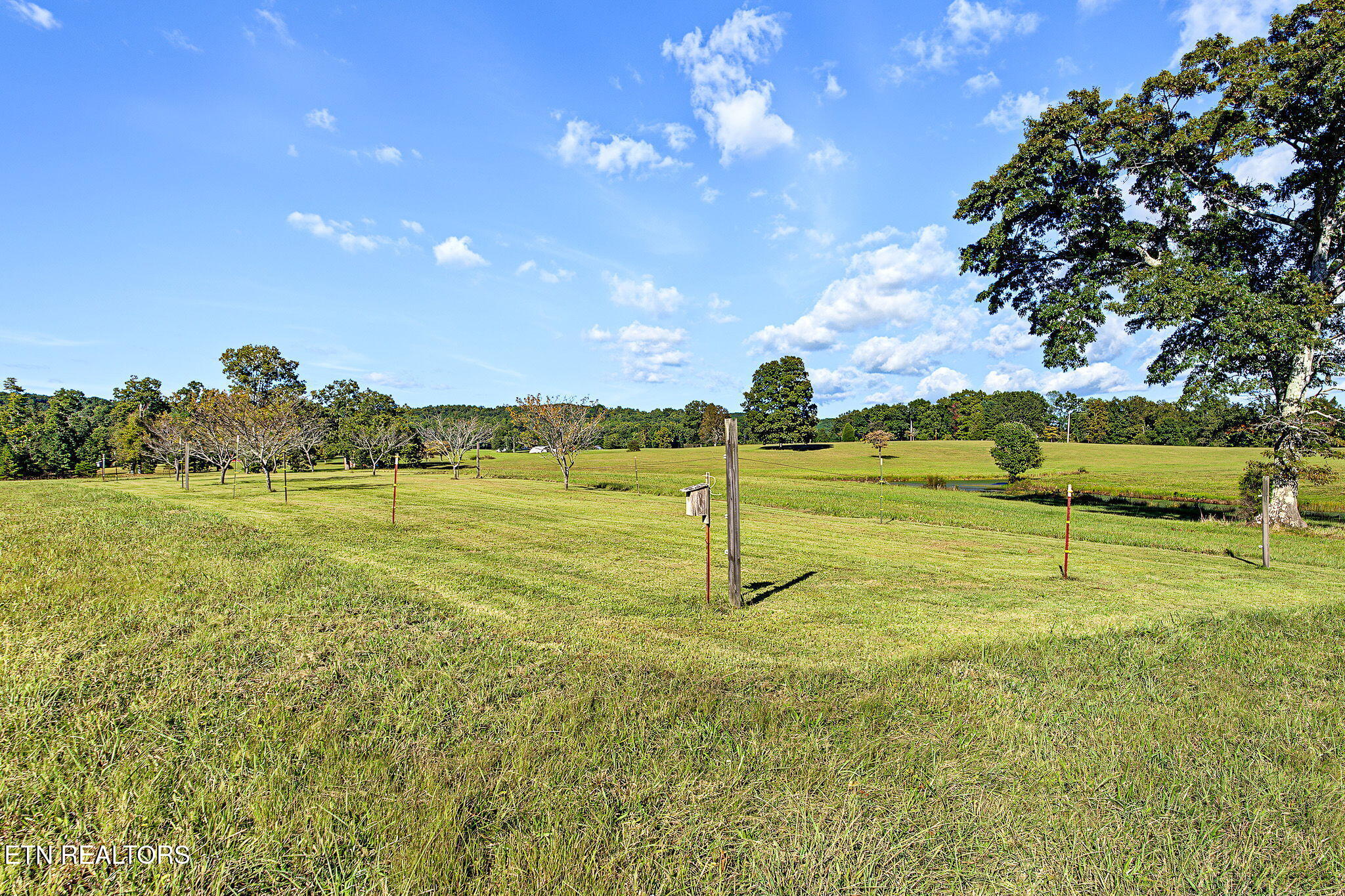 308 Huse Watson Road Oakdale, TN 37829 - Photo 41 of 44 40-web-or-mls-308-huse-watson-rd