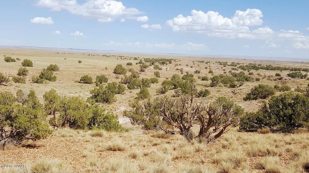 5443 Dusty Road Snowflake, AZ 85937 - Photo 14 of 21