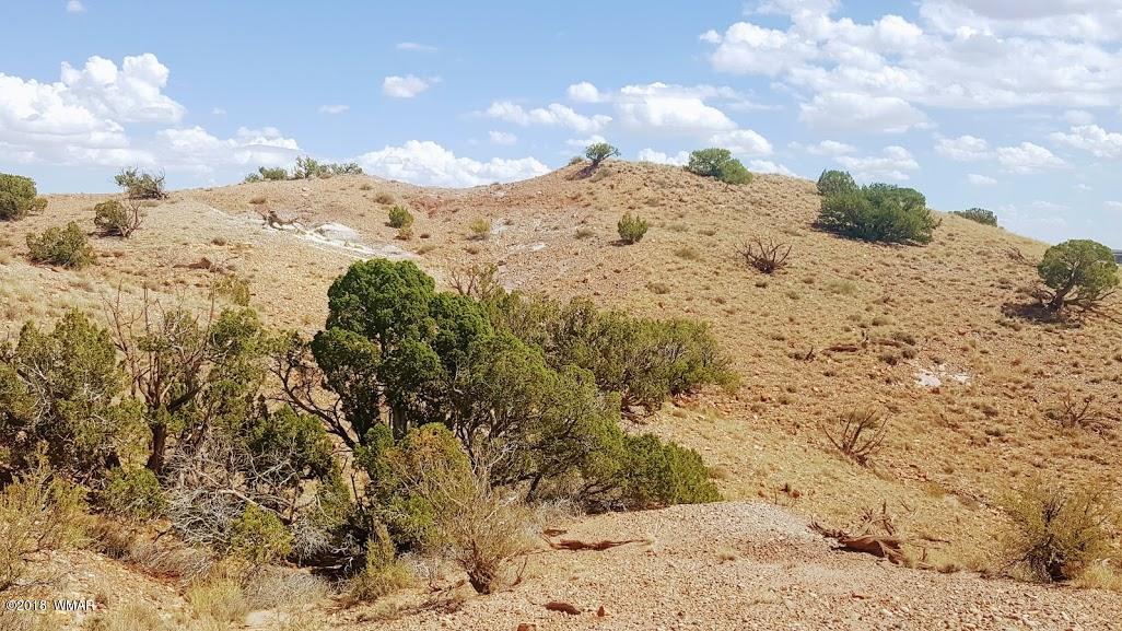 5443 Dusty Road Snowflake, AZ 85937 - Photo 15 of 21