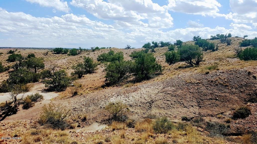 5443 Dusty Road Snowflake, AZ 85937 - Photo 19 of 21