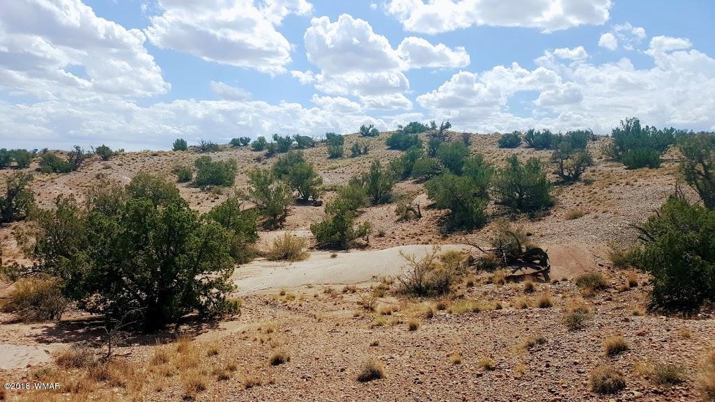 5443 Dusty Road Snowflake, AZ 85937 - Photo 20 of 21