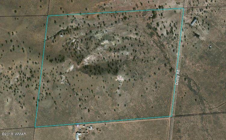 5443 Dusty Road Snowflake, AZ 85937 - Photo 21 of 21