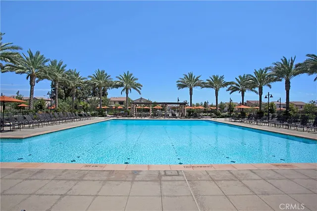 a view of a palm plant from a balcony