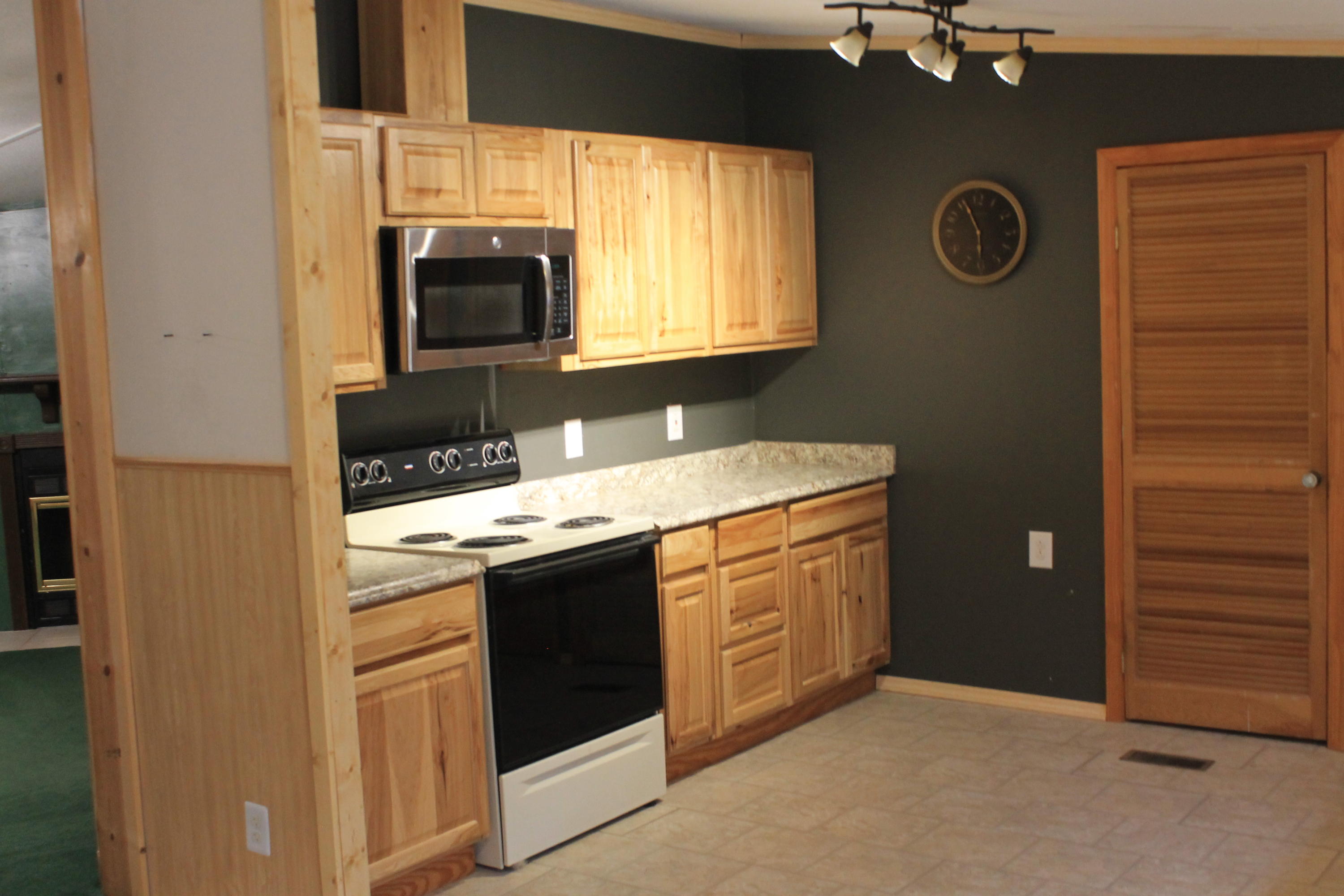 1725 Sockless Road Dandridge, TN 37725 - Photo 6 of 22 IMG_7762