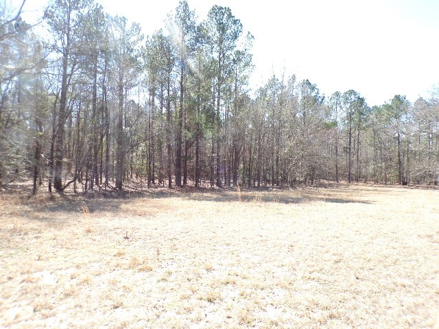 559 Boneville Road Thomson, GA 30824 - Photo 15 of 20