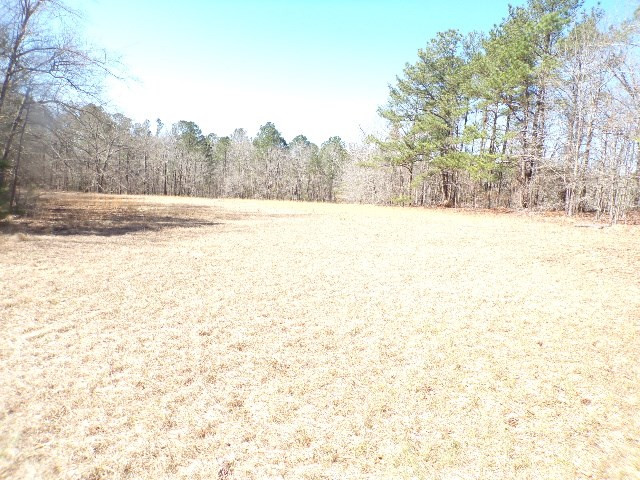 559 Boneville Road Thomson, GA 30824 - Photo 16 of 20