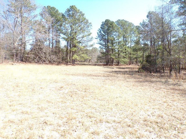 559 Boneville Road Thomson, GA 30824 - Photo 17 of 20