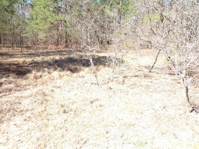 559 Boneville Road Thomson, GA 30824 - Photo 18 of 20