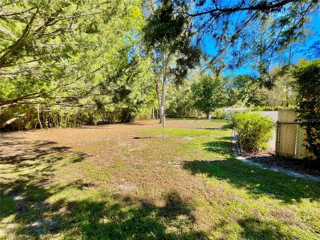 a view of a bunch of flowers in a yard