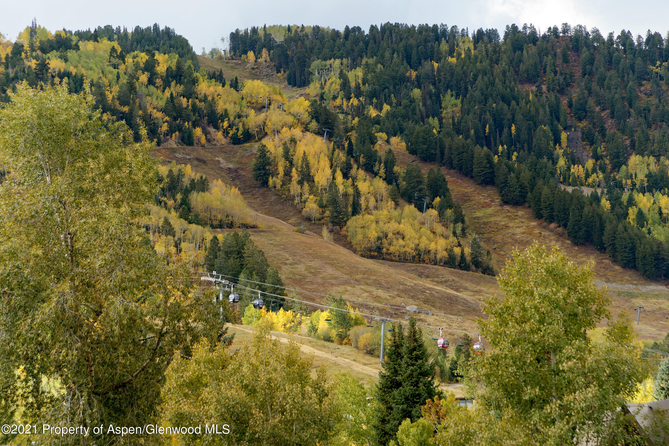 900 East Durant Avenue, Unit B105 Aspen, CO 81611 - Photo 17 of 18 a view of a yard with trees