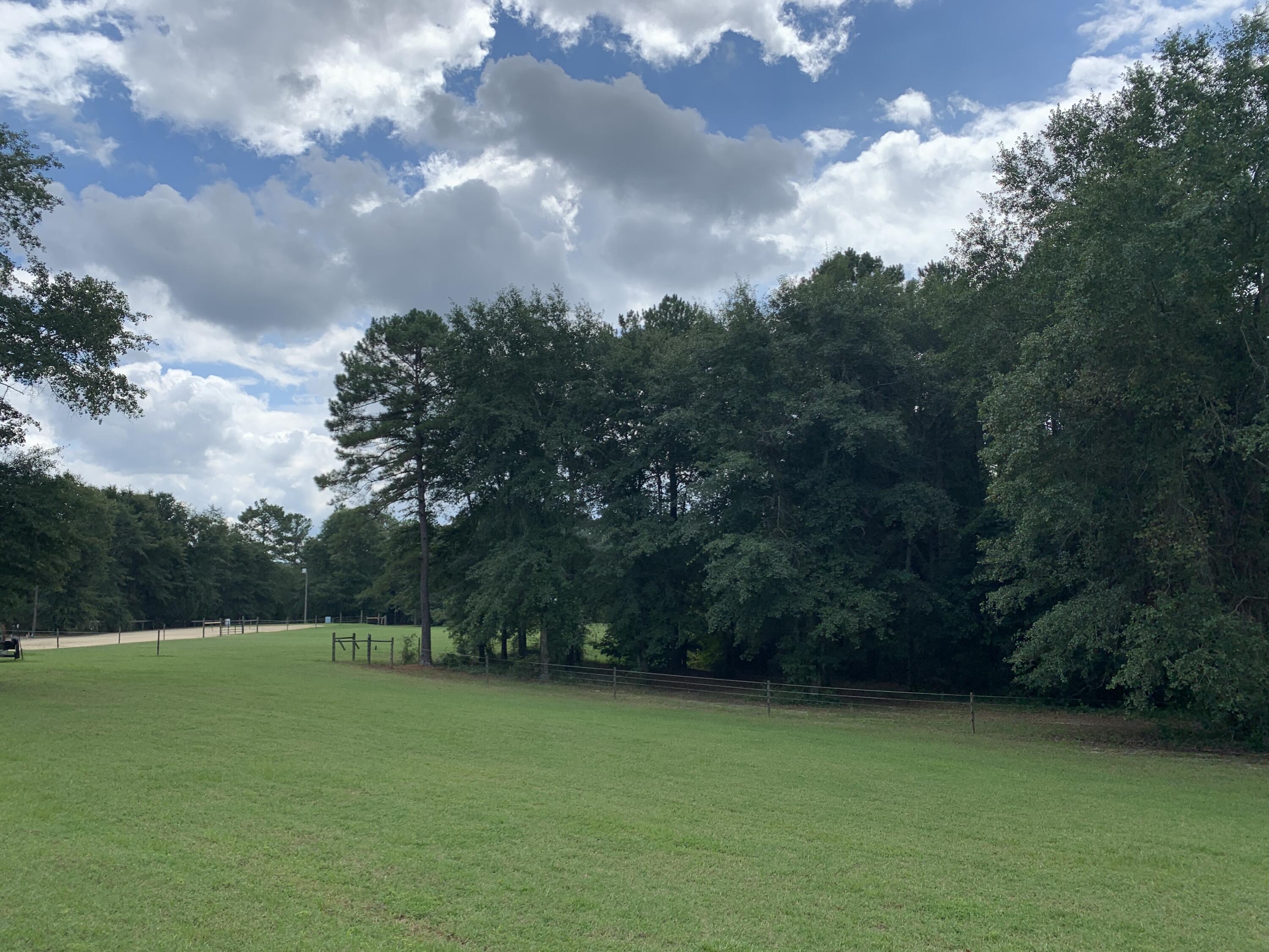 254 Our Road Salley, SC 29137 - Photo 38 of 51