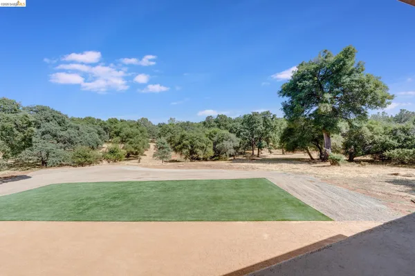 a view of yard