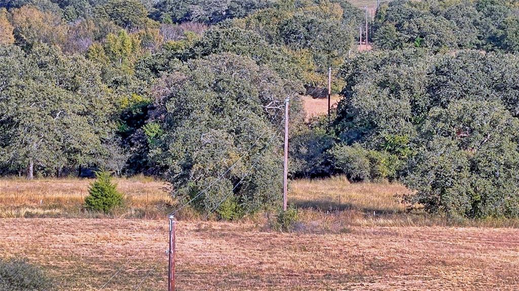 4678 Fenoglio Road Montague, TX 76251 - Photo 19 of 20 a view of a backyard of the house