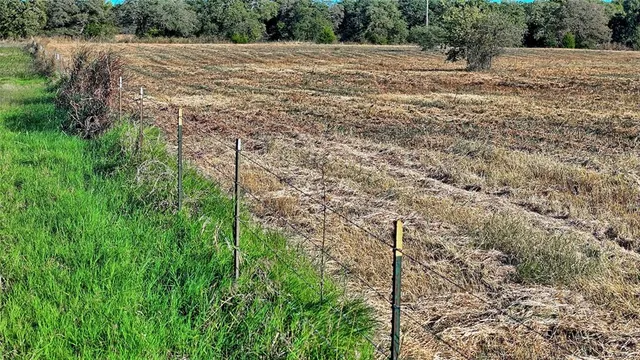 a view of a backyard of a house