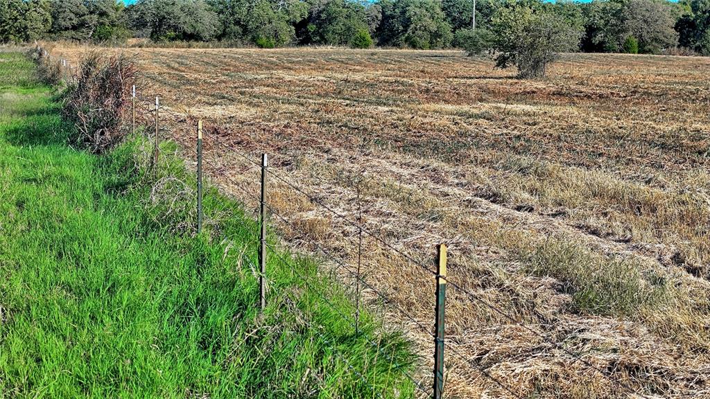 4678 Fenoglio Road Montague, TX 76251 - Photo 20 of 20 a view of a backyard of a house