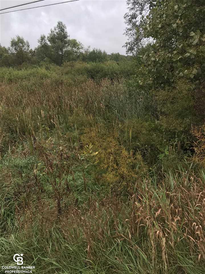 0 South Brockway Road Yale, MI 48097 - Photo 5 of 6