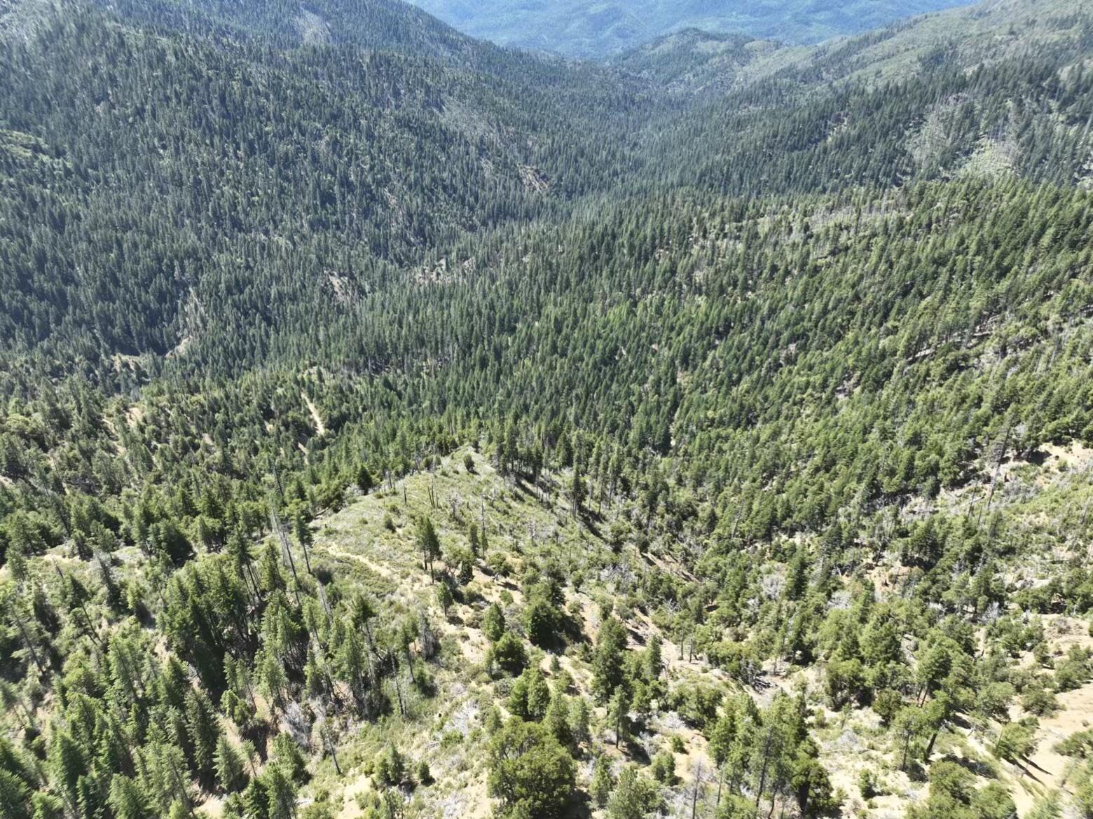 2510 Fs Road Hyampom, CA 96046 - Photo 1 of 4