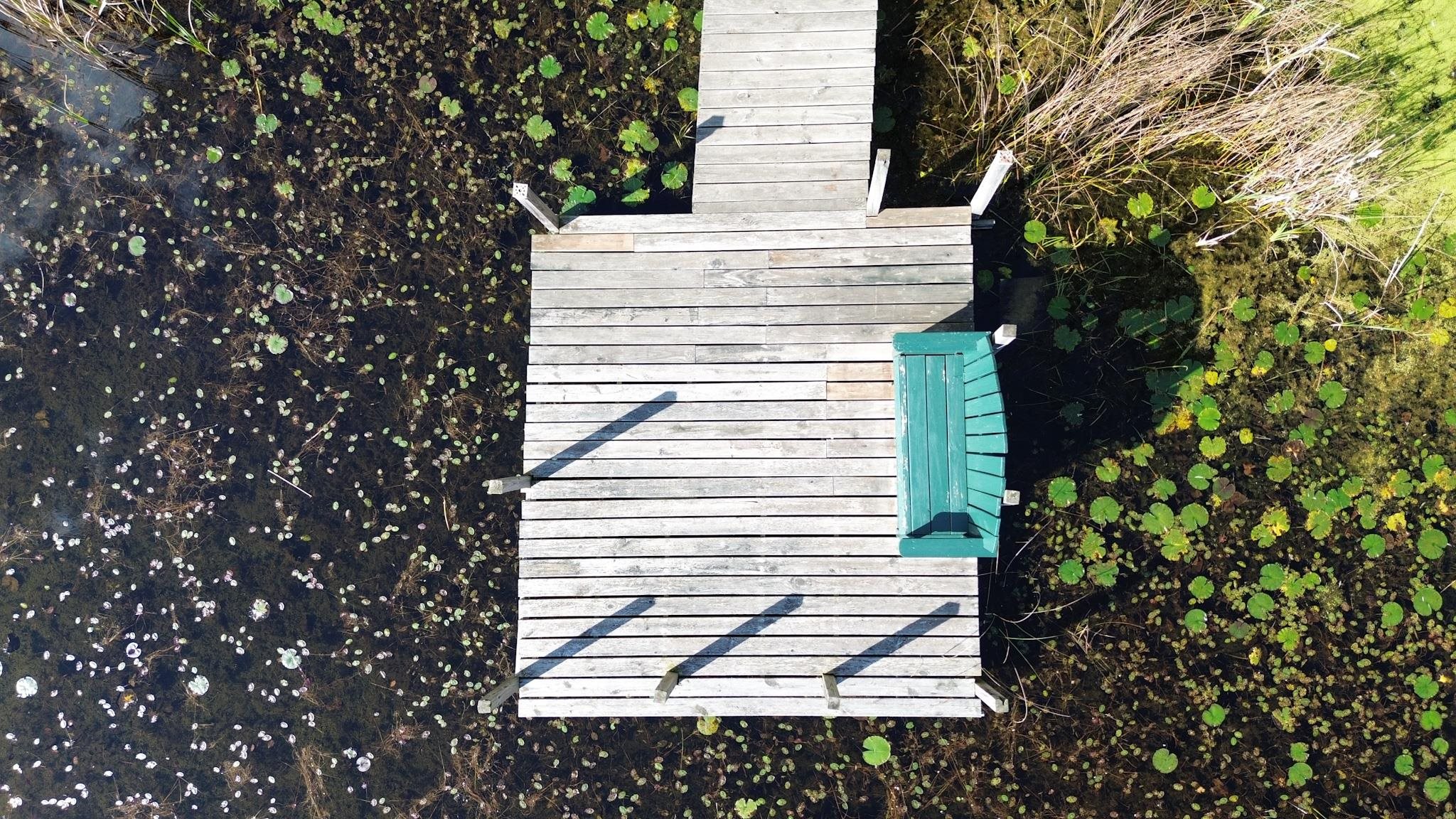 E2954 Lake Road Iola, WI 54945 - Photo 24 of 30