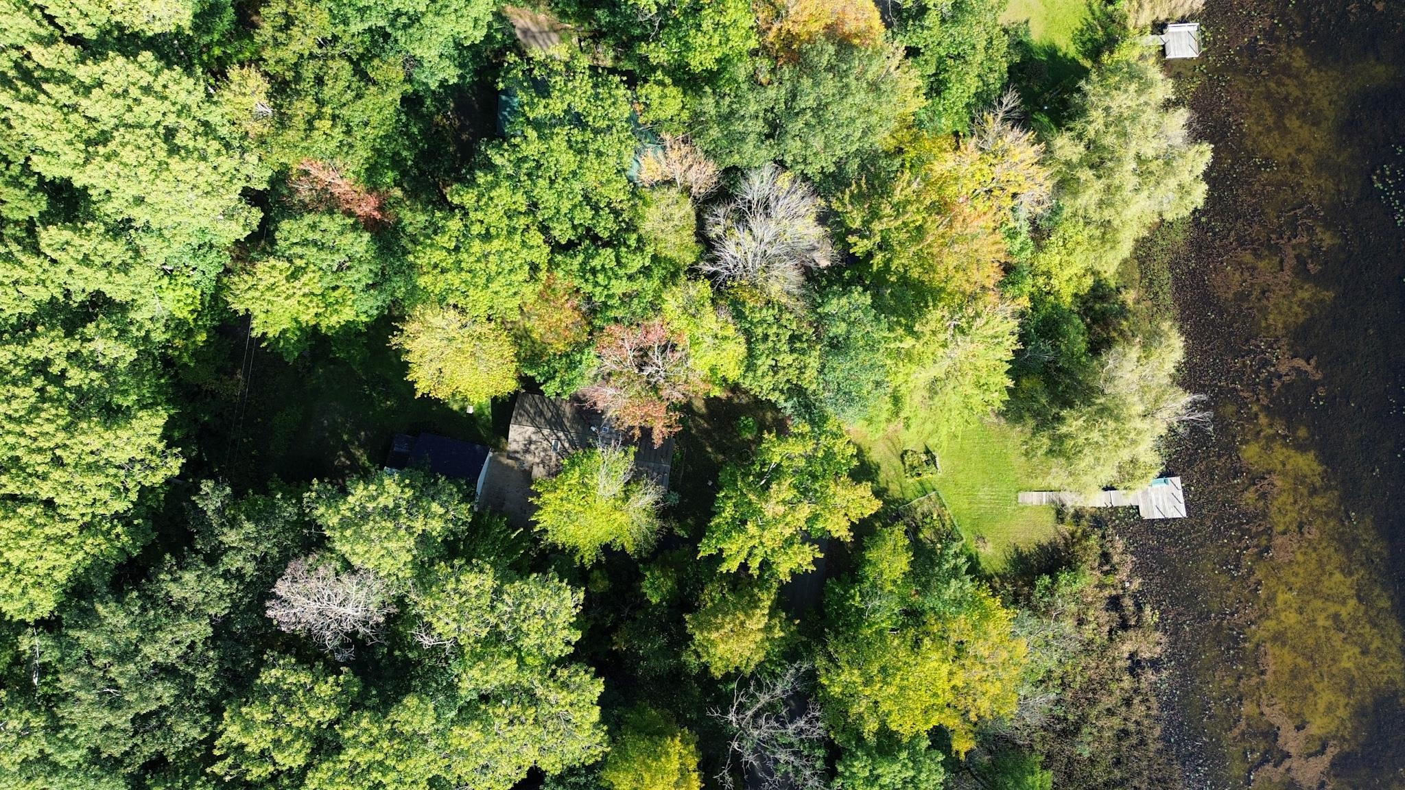 E2954 Lake Road Iola, WI 54945 - Photo 25 of 30