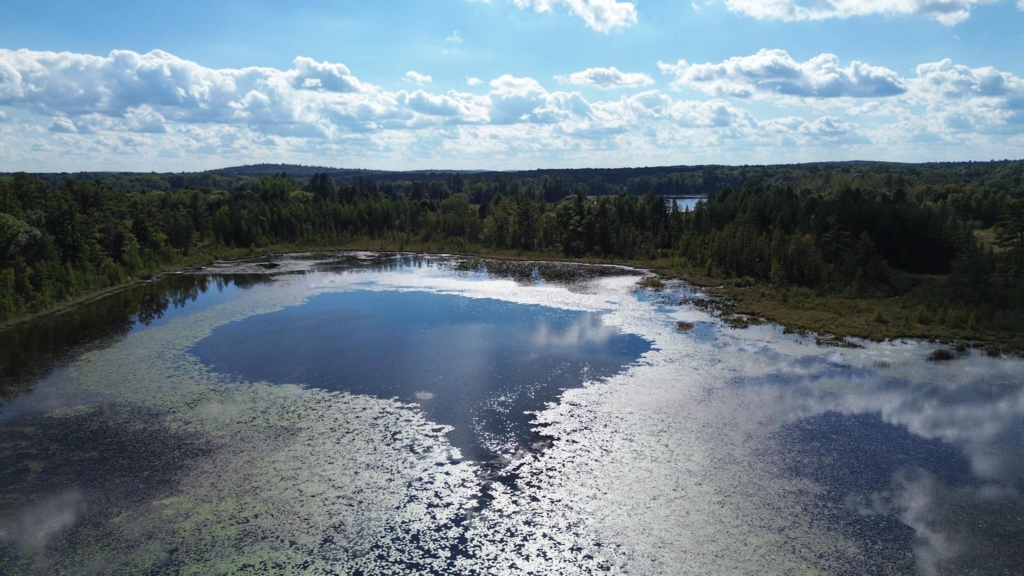 E2954 Lake Road Iola, WI 54945 - Photo 26 of 30