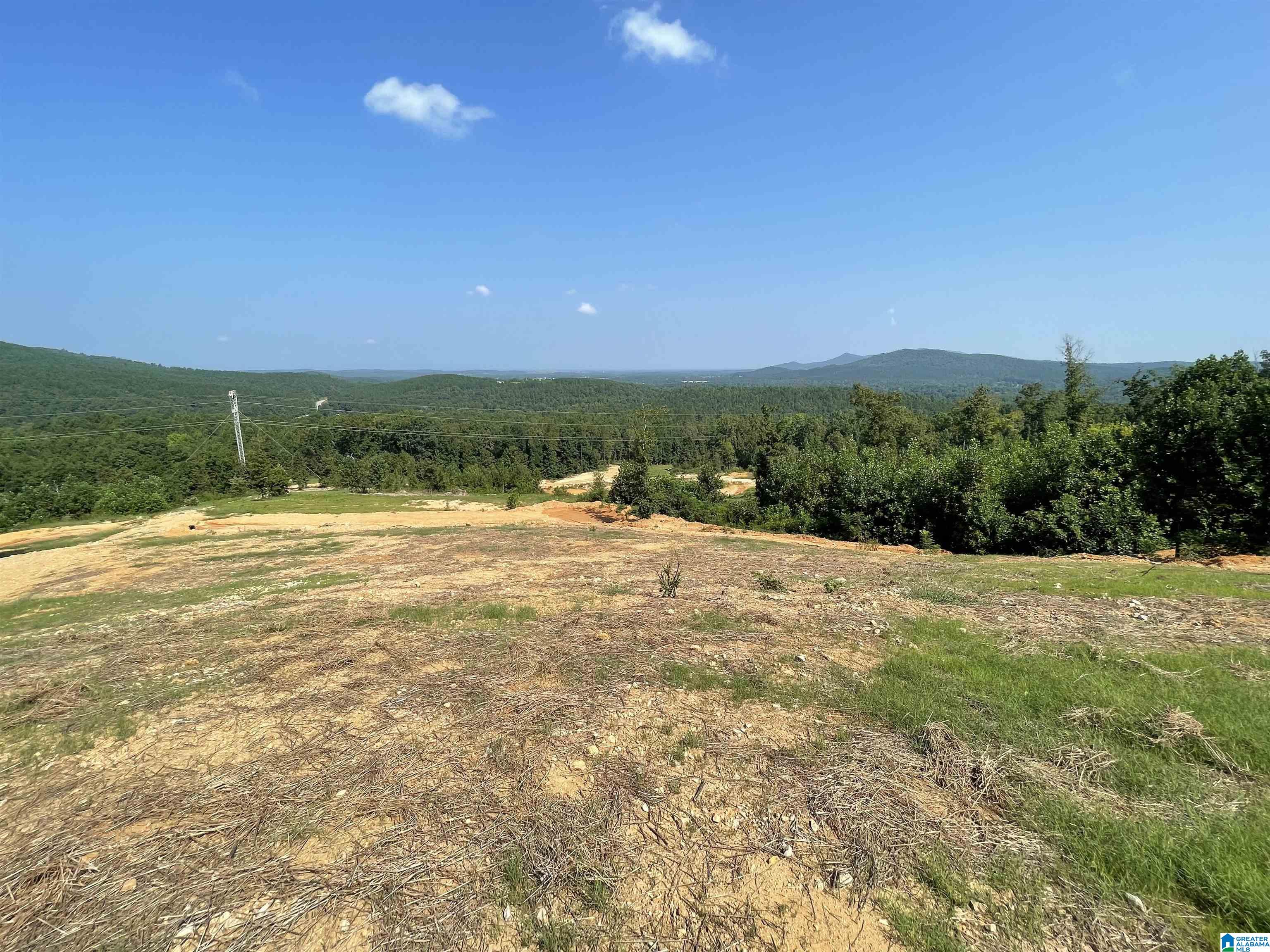 0 Benefield Gap Road Piedmont, AL 36272 - Photo 12 of 24