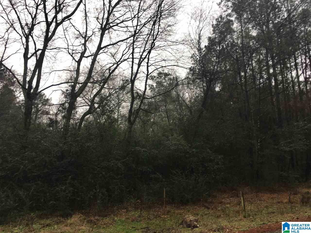 1245 Eureka Road, Unit 2 Lincoln, AL 35096 - Photo 10 of 32