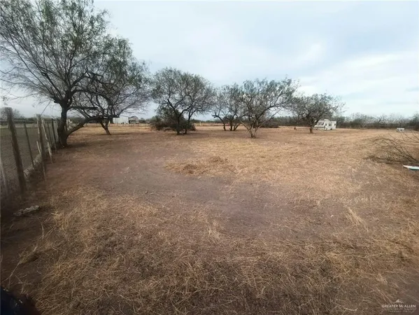 a view of dirt yard with a tree