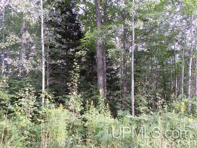 Tbd Valley Road Hurley, WI 54534 - Photo 3 of 6
