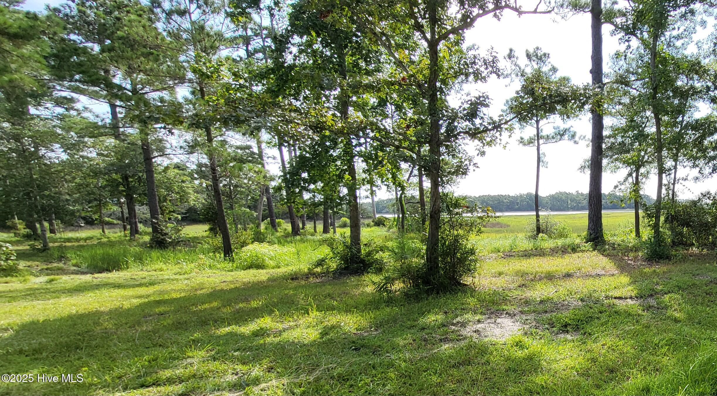 3032 Mill Creek Road Newport, NC 28570 - Photo 4 of 8 Lot 12 Mill Landing