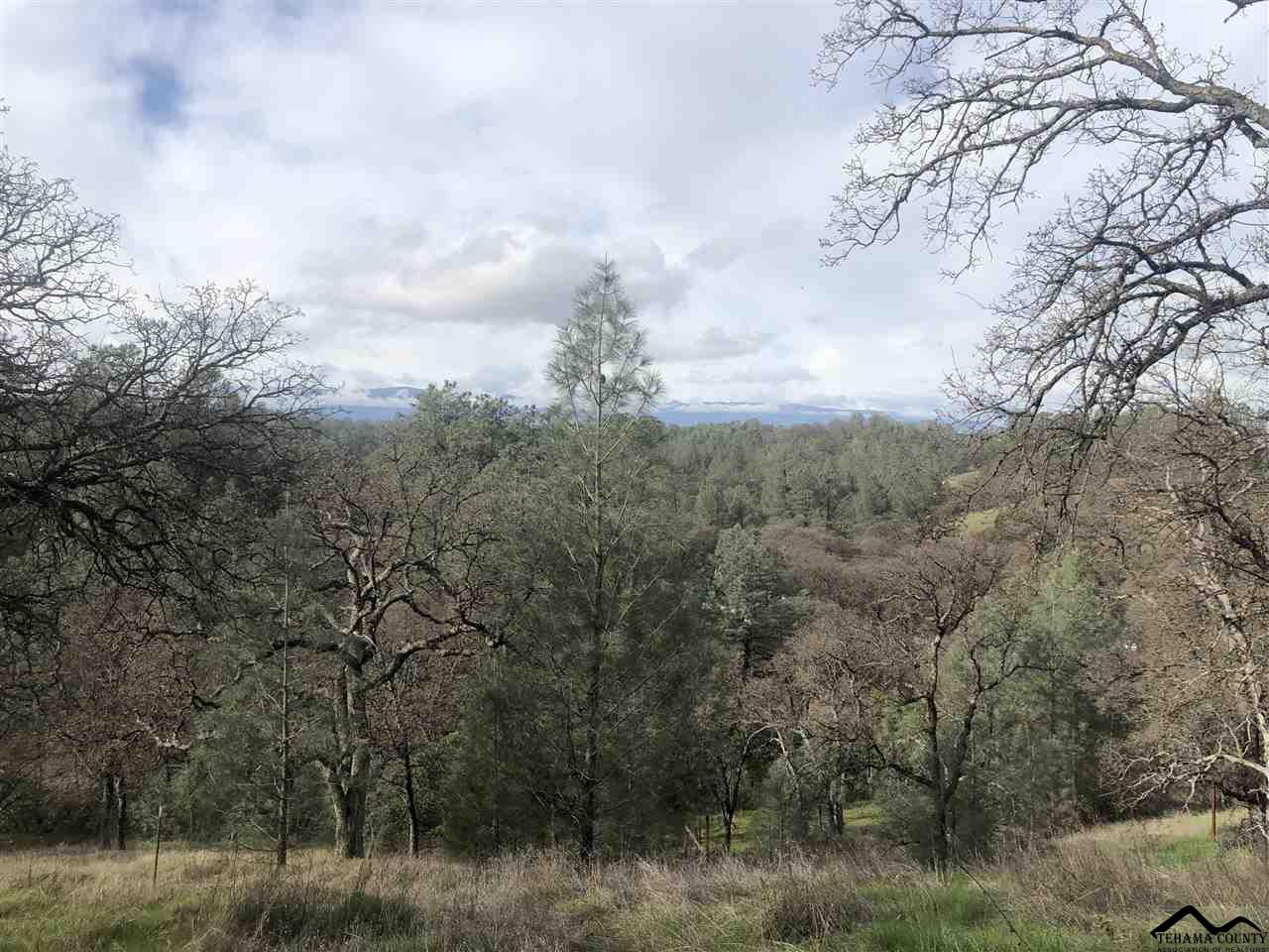 16850 Robinhill Road Corning, CA 96021 - Photo 13 of 32