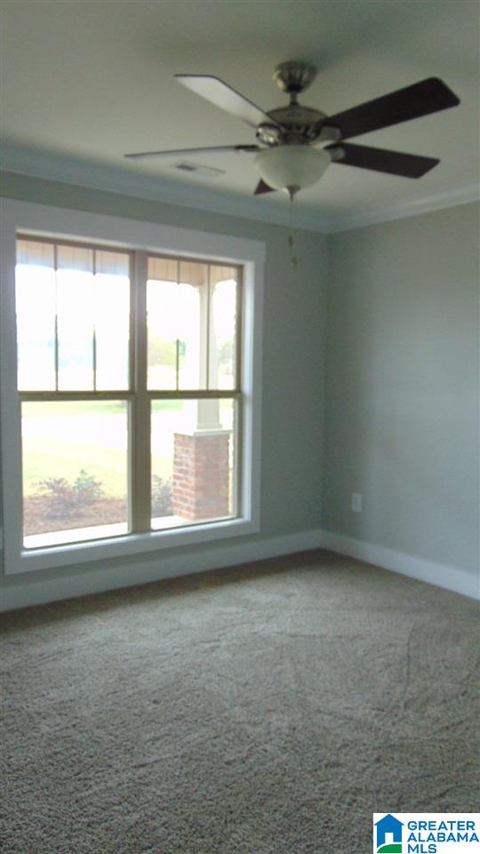 78 Spring Lake Boulevard Clanton, AL 35045 - Photo 18 of 20